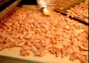 How Chicken Is Cut And Cooked In A Factory